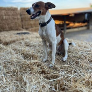 09b05039-f1f3-412e-b99e-aecc5299923a