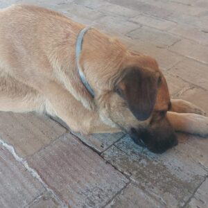 1db0ad53-5f5f-4b4d-96e7-c84388505297