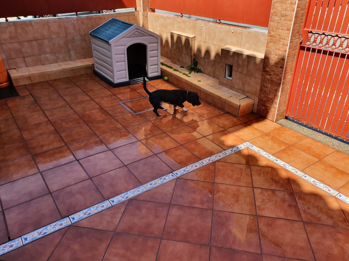 Buscando familia