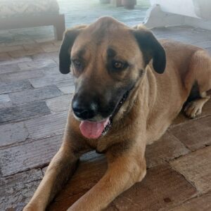 73bea969-e8c4-470a-8cec-2cfda1e9402a