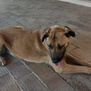 935ce2e0-c67f-4164-ba13-0d0ec8fbdddd