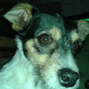 FB_IMG_1773986886713