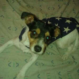 FB_IMG_1773986909965