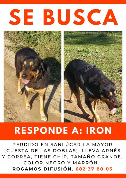 SE BUSCA: IRON