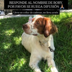 PHOTO-2025-10-21-12-09-39