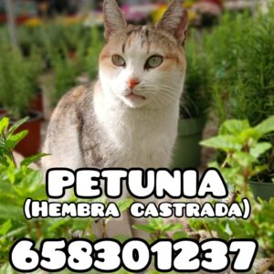 Screenshot_20251207_180152_WhatsApp