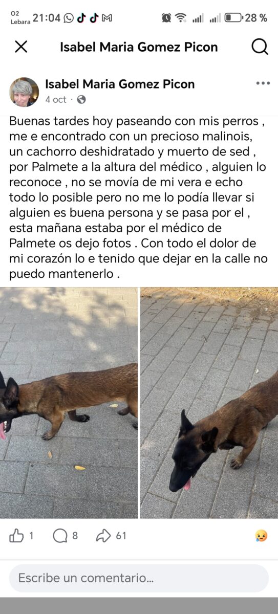 Se me a perdido un malinois porfavor estoy súper ñreucuoada