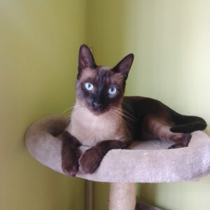 WhatsApp Image 2025-12-12 at 10.22.39(1)