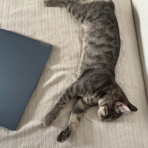 f895284c-34e4-4fc5-808f-61bc8bfb5b9c