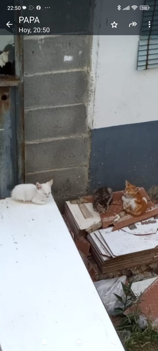 Casa de acogida para bebés